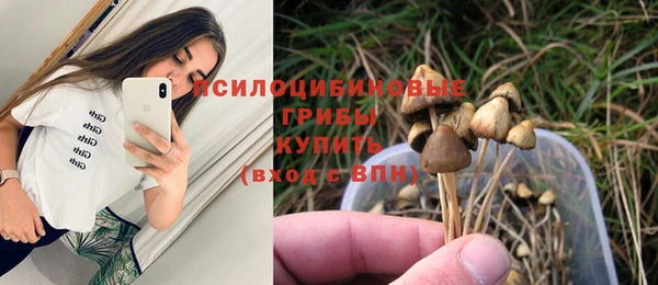 2c-b Алексеевка