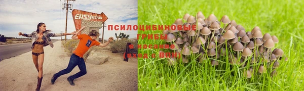 круглые Алексин